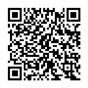 Link to your fundraiser QRCode - Fundraising