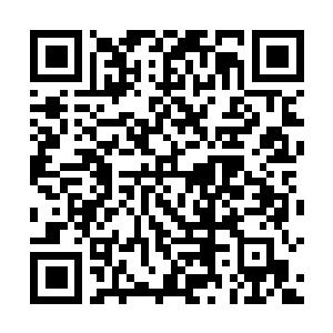 Link to your fundraiser QRCode - Fundraising
