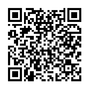 Link to your fundraiser QRCode - Fundraising