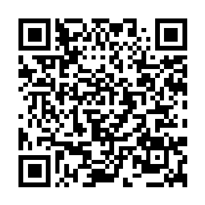 Link to your fundraiser QRCode - Fundraising