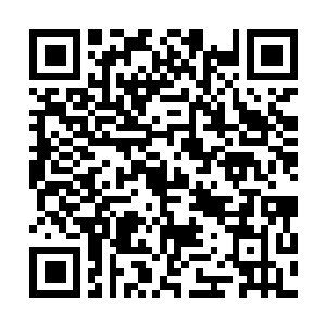 Link to your fundraiser QRCode - Fundraising
