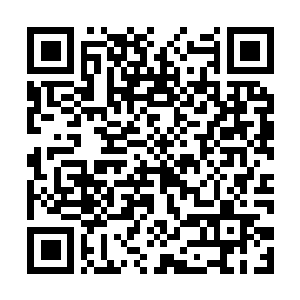 Link to your fundraiser QRCode - Fundraising