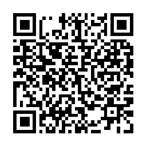 Link to your fundraiser QRCode - Fundraising