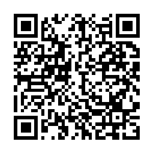 Link to your fundraiser QRCode - Fundraising