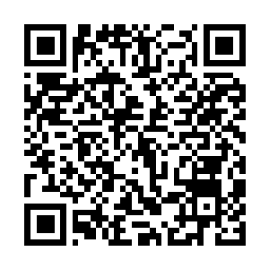 Link to your fundraiser QRCode - Fundraising