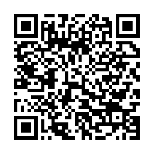 Link to your fundraiser QRCode - Fundraising