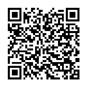 Link to your fundraiser QRCode - Fundraising