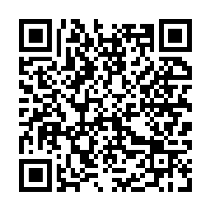 Link to your fundraiser QRCode - Fundraising