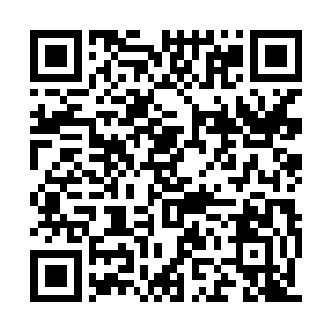 Link to your fundraiser QRCode - Fundraising