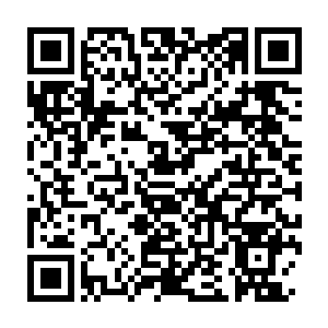Link to your fundraiser QRCode - Fundraising
