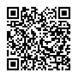 Link to your fundraiser QRCode - Fundraising