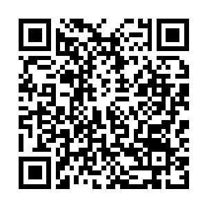 Link to your fundraiser QRCode - Fundraising