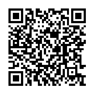 Link to your fundraiser QRCode - Fundraising