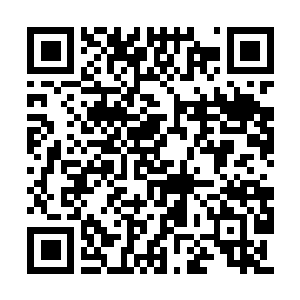 Link to your fundraiser QRCode - Fundraising