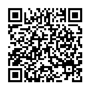 Link to your fundraiser QRCode - Fundraising