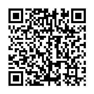Link to your fundraiser QRCode - Fundraising