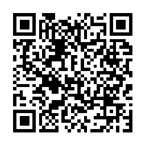 Link to your fundraiser QRCode - Fundraising