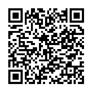 Link to your fundraiser QRCode - Fundraising