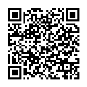 Link to your fundraiser QRCode - Fundraising