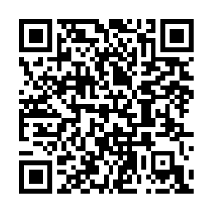 Link to your fundraiser QRCode - Fundraising