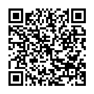 Link to your fundraiser QRCode - Fundraising
