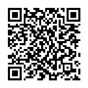 Link to your fundraiser QRCode - Fundraising