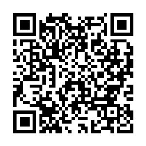 Link to your fundraiser QRCode - Fundraising