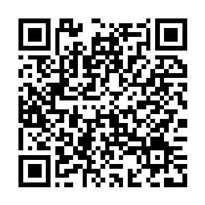 Link to your fundraiser QRCode - Fundraising