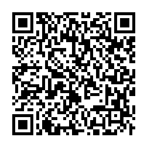 Link to your fundraiser QRCode - Fundraising