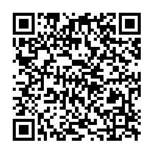 Link to your fundraiser QRCode - Fundraising