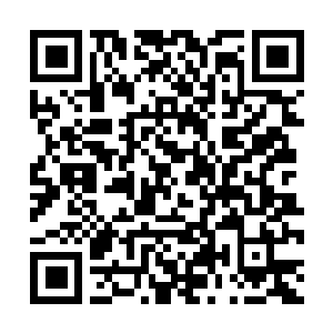 Link to your fundraiser QRCode - Fundraising