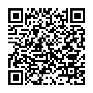 Link to your fundraiser QRCode - Fundraising