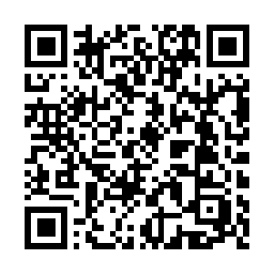 Link to your fundraiser QRCode - Fundraising