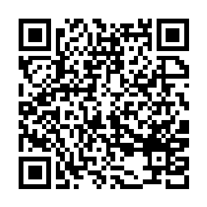 Link to your fundraiser QRCode - Fundraising