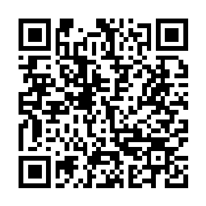 Link to your fundraiser QRCode - Fundraising