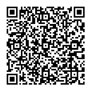 Link to your fundraiser QRCode - Fundraising