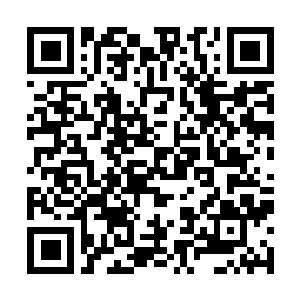 Link naar je actie QRCode - Fondswerving