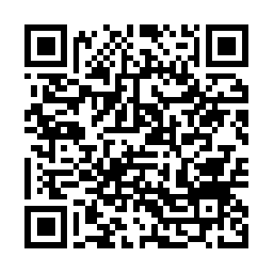 Link naar je actie QRCode - Fondswerving