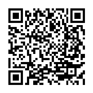 Link naar je actie QRCode - Fondswerving