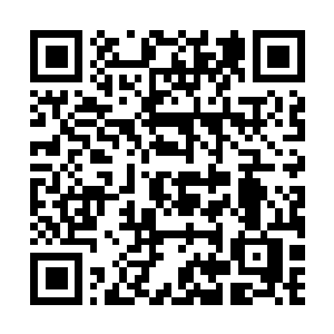 Link naar je actie QRCode - Fondswerving