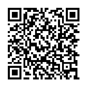 Link naar je actie QRCode - Fondswerving