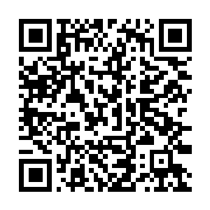 Link naar je actie QRCode - Fondswerving