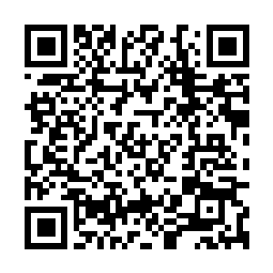 Link naar je actie QRCode - Fondswerving