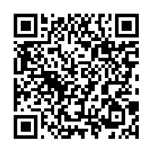 Link naar je actie QRCode - Fondswerving
