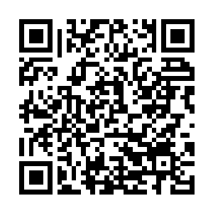 Link naar je actie QRCode - Fondswerving