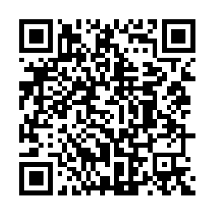 Link naar je actie QRCode - Fondswerving