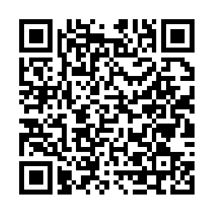 Link naar je actie QRCode - Fondswerving