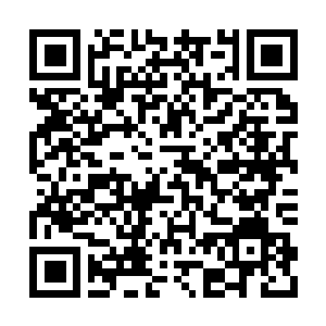 Link naar je actie QRCode - Fondswerving