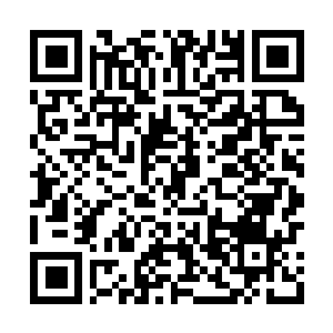 Link naar je actie QRCode - Fondswerving