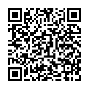 Link naar je actie QRCode - Fondswerving